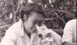 吃瓜长大的老奶奶,老奶奶的温馨回忆录