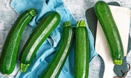 吃瓜不用切,美味尽享——吃瓜不用切，轻松畅享夏日清凉