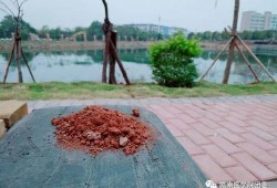 赣医吃瓜,揭秘校园里的那些“瓜”