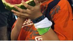 吃瓜播报员,吃瓜播报员带你揭秘娱乐圈最新热点事件