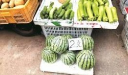 豆瓣   自由吃瓜