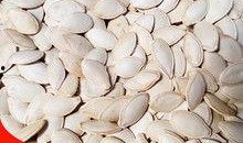 吃瓜拿瓜子图片,一场视觉与味蕾的盛宴