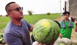 云浮吃瓜新闻,揭秘当地热点事件背后的故事