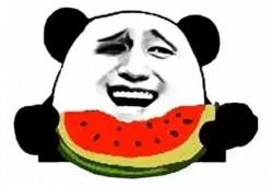 吃瓜迅猛龙,揭秘恐龙世界的“美食侦探”