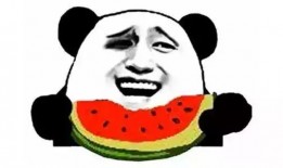 吃瓜迅猛龙,揭秘恐龙世界的“美食侦探”