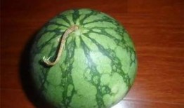 绝绝吃瓜,揭秘娱乐圈那些不为人知的幕后故事