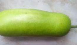 常熟立秋吃瓜,常熟瓜果飘香，传统习俗传承千年