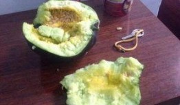 茄瓜是否去瓤吃,口感与营养的抉择