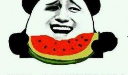 吃瓜群众是吃什么瓜,揭秘吃瓜群众的瓜食奥秘