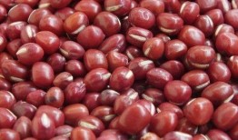 台湾红豆妹吃瓜,趣味互动引网友热议