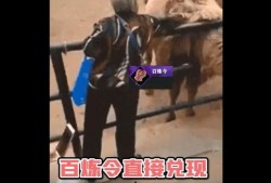 吃瓜密码逆水寒,揭秘吃瓜密码背后的江湖风云