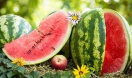 吃瓜行情今天,揭秘今日热点事件背后的真相