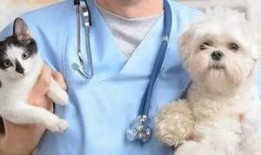 狗吃福瓜,宠物美食新体验