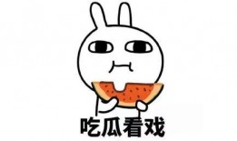 佛系吃瓜9527,揭秘网络热点的佛系态度