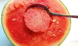 水晶瓜禁忌人群吃吗,揭秘禁忌人群与适宜人群