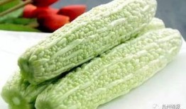 厦门湖里吃瓜,夏日吃瓜好去处，尽享清凉时光