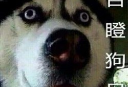 吃瓜视频流泪的,吃瓜视频引发的情感共鸣