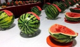 后屯村吃瓜,共享欢乐时光