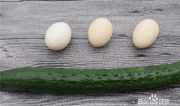 瓜鸡蛋在哪里吃,揭秘各地特色美食餐厅