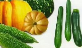 木偶吃瓜,瓜田里的奇幻冒险