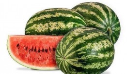 长垣吃瓜升高凳,凳子升高的趣味解读