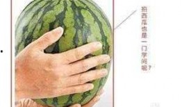 小瓜哥带你吃瓜