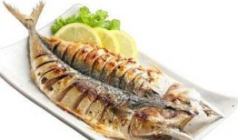 青花鱼吃瓜,一场别开生面的海洋盛宴