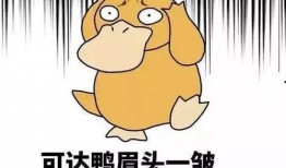 吃瓜小能手加入圈子