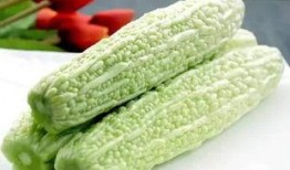 喵喵上树吃瓜吃瓜吃瓜