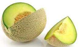 吃亿口哈密瓜,尽享甜蜜滋味，探寻瓜果传奇