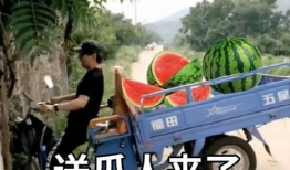 吃瓜上车,揭秘娱乐圈幕后真相