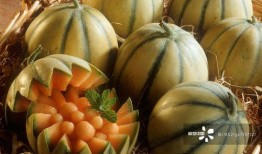 夏吃瓜和秋吃果,夏享瓜香，秋品果韵