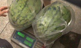 融媒体吃瓜,吃瓜群众的狂欢盛宴