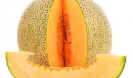 重庆吃哈密瓜,甜蜜邂逅，味蕾之旅