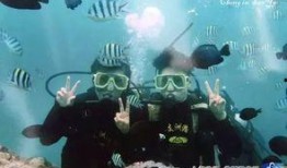 潜水吃瓜观众,揭秘水下世界的趣味观察