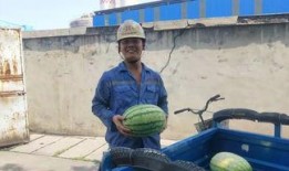 周日快乐吃瓜群众