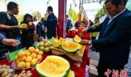 吃瓜部落官网,探寻网络红人背后的故事与魅力