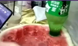 室友吃瓜梗,揭秘校园里的那些“瓜”