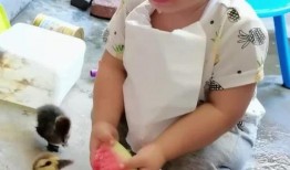 萌娃吃瓜队伍,欢乐吃瓜队伍大揭秘！