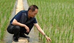 吃瓜袁隆平,吃瓜群众心中的农业巨匠