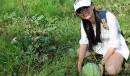 瓜地里现吃现摘,尽享新鲜美味