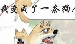 吃瓜气运小说,穿越吃瓜气运的奇幻之旅