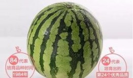 作诗吃瓜,一场别开生面的诗意食光之旅