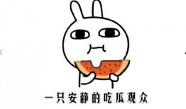 有内涵的吃瓜,探寻生活百态的内涵之旅