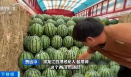 吃瓜篓子的好处,解锁健康生活的秘密武器