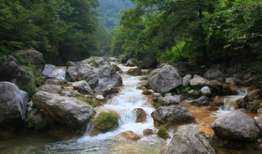吃瓜风景区,瓜果飘香，休闲度假新胜地