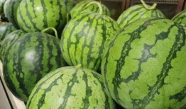 顶思醒吃瓜,揭秘娱乐圈背后的那些事