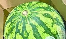 大街上吃瓜,揭秘都市生活百态