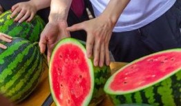 吃瓜视频宿舍,揭秘宿舍生活的趣味瞬间