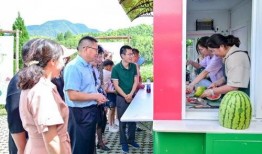 马山吃瓜,揭秘网络热点的背后故事